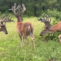 LA - LaSalle 404 acres -