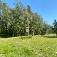 LA - LaSalle 404 acres - images 2