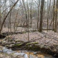 295 Acres Land for Sale Union Parish LA images 4