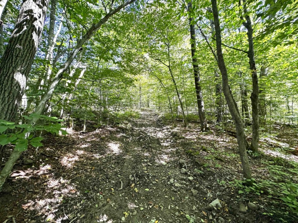 32 acres Hunting Land bordering State Land in Erwin NY Beeman Hollow Road featured image