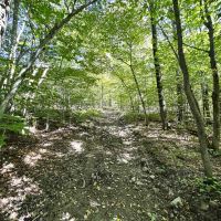 32 acres Hunting Land bordering State Land in Erwin NY Beeman Hollow Road