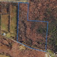 32 acres Hunting Land bordering State Land in Erwin NY Beeman Hollow Road images 2