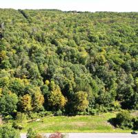 32 acres Hunting Land bordering State Land in Erwin NY Beeman Hollow Road images 3