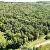32 acres Hunting Land bordering State Land in Erwin NY Beeman Hollow Road images 4