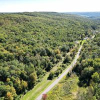 32 acres Hunting Land bordering State Land in Erwin NY Beeman Hollow Road images 5