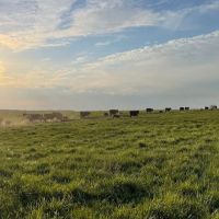 Turn-Key Highly Productive Crop Hay And Livestock Ranch With Homes For Sale Near Springfield images 2