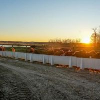 Turn-Key Highly Productive Crop Hay And Livestock Ranch With Homes For Sale Near Springfield images 3