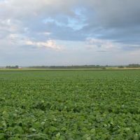 Turn-Key Highly Productive Crop Hay And Livestock Ranch With Homes For Sale Near Springfield images 4