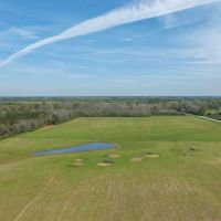 Beautiful 3 Acre Homesite Lot in Greenville Lot 5 images 2