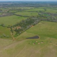 Beautiful 3 Acre Homesite Lot in Greenville Lot 5 images 5
