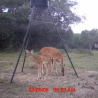 194 acres in Matagorda County Texas images 2