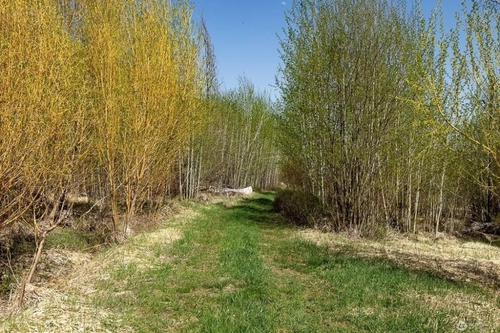 New Property featured image