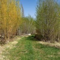New Property