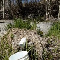 New Property images 4