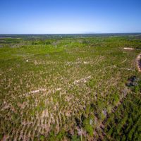 Heaven on Big Satilla Creek images 3