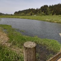 Pacific City Cloverdale Farm House - 74 - Organic Acres images 4