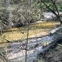 28 - Recreation Residential Land in Houston County