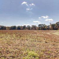 TBD West Mill Creek Rd Troy IL images 5
