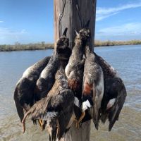 LA - St. Bernard 390 acres - images 3
