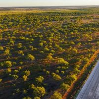 Carpenter Ranch images 2