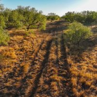 Carpenter Ranch images 4