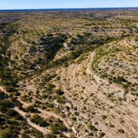 Hackberry Canyon Ranch