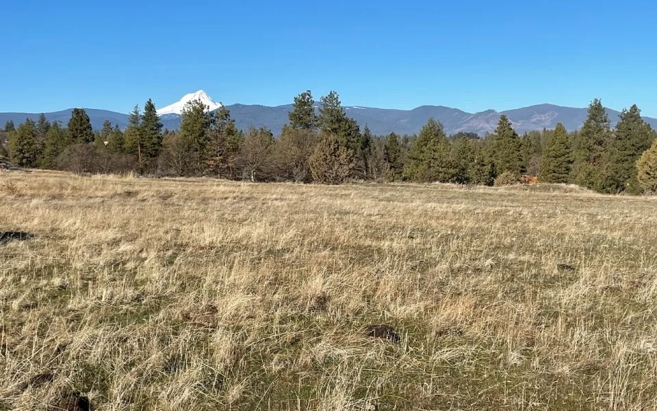 Tri-Mountain View Ranch featured image