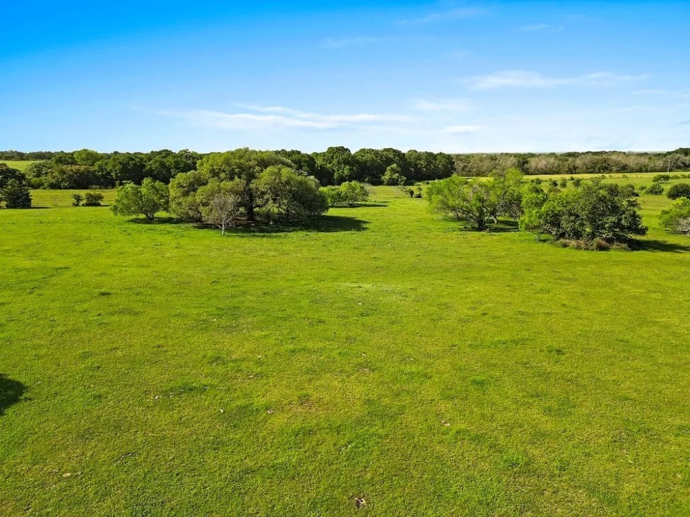80 acres 2080 FM 155 Weimar TX Colorado County featured image