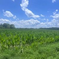 SOLD 59 AC. GENEVA CO images 2