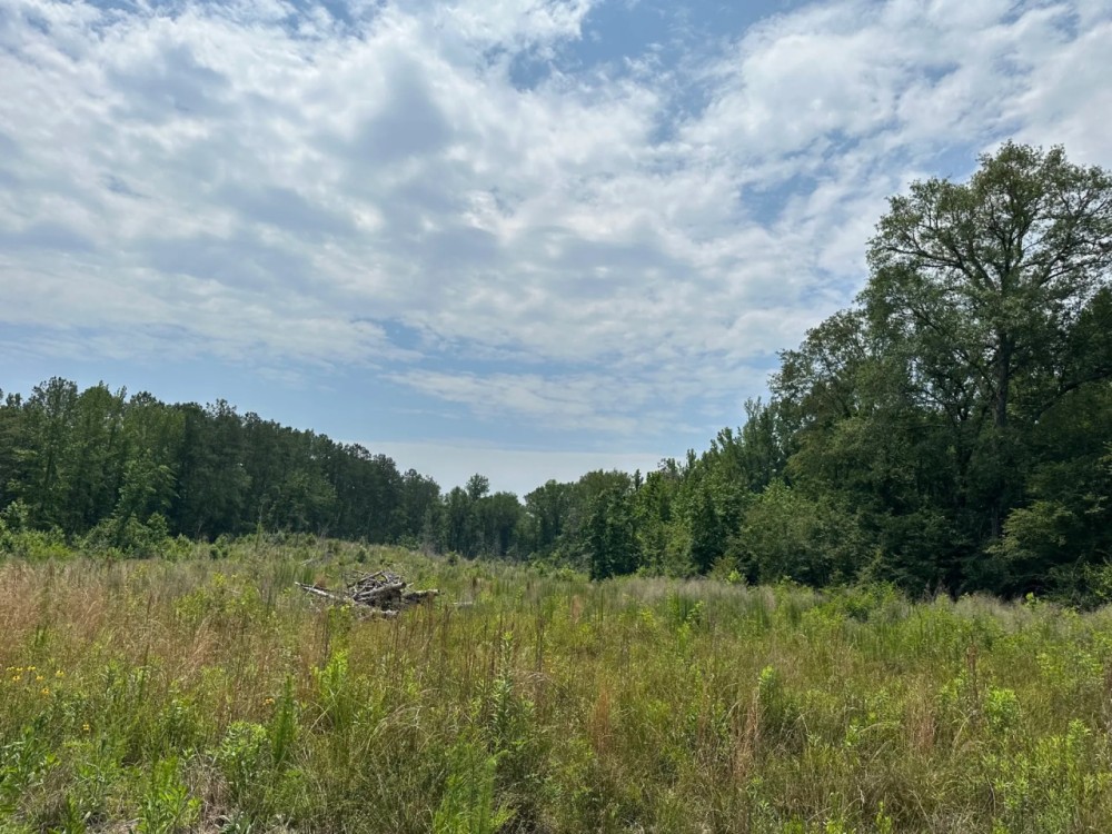 32 acres in Dallas County featured image