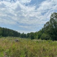32 acres in Dallas County images 1