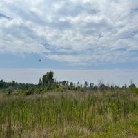 32 acres in Dallas County images 2