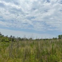 32 acres in Dallas County images 4