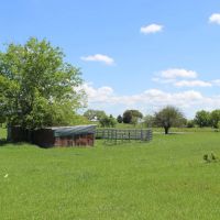 Hwy 90 East in Schulenburg images 4