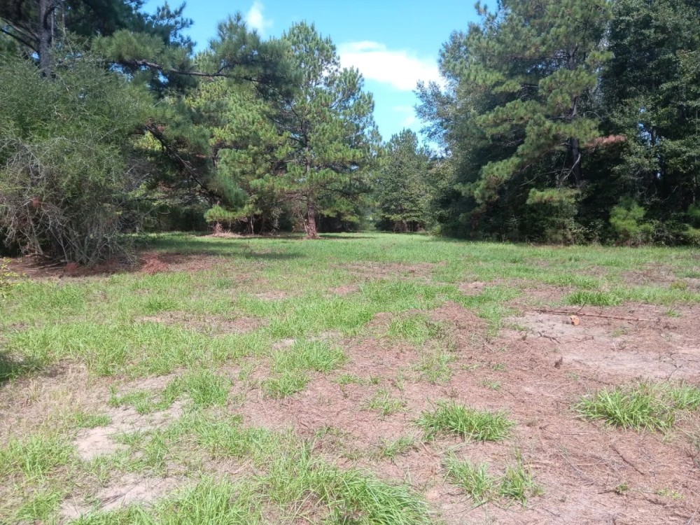 17 Acres Wooded Getaway featured image