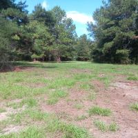 17 Acres Wooded Getaway images 1