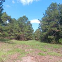 17 Acres Wooded Getaway images 2