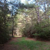 17 Acres Wooded Getaway images 3