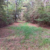 17 Acres Wooded Getaway images 4
