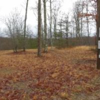 White Oak Lane images 3