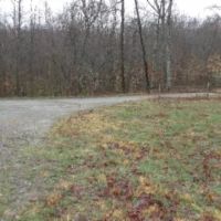 White Oak Lane images 5
