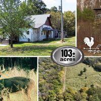 566 103 Acres clean woods with trails food plot area The start of a home with outbuildings