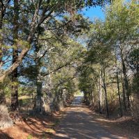 64 Acres in Mize MS in Smith County
