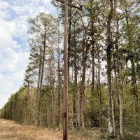 48 Acres T-9 FM 1746 images 2