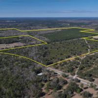 Monteocha Creek Woodlands
