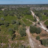 Monteocha Creek Woodlands images 2