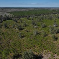 Monteocha Creek Woodlands images 3