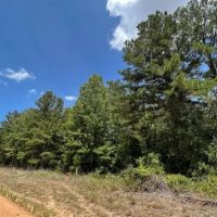 1789 An County Road 323 Palestine TX images 3