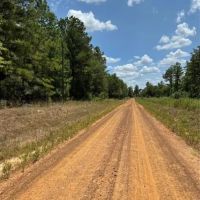 1789 An County Road 323 Palestine TX images 4