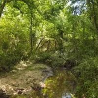 108 Acres in Simpson County in New Hebron MS images 2